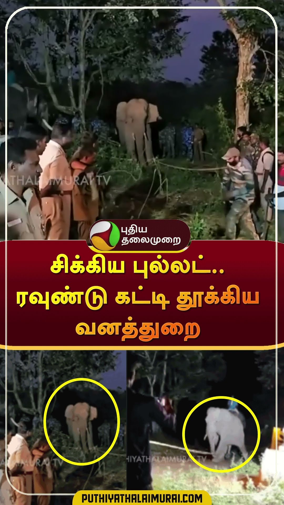சிக்கிய புல்லட்..ரவுண்டு கட்டி தூக்கிய வனத்துறை | #shorts | #bullet | #nilgiri