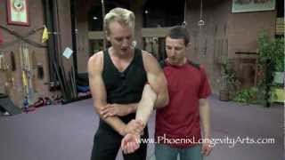 Kung Fu Submission, Qin Na Elbow Lock and Escape