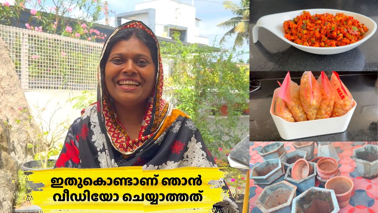 Ramadan Preparation | Beef Varattiyathu | Mango Pickle | Easy Kabsa | Time Saver | Salu Kitchen