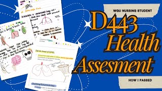 How I Passed WGU D443 Health Assessment | All the resources I used