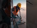 Giant Ants Building an Eiffel Tower Skyscraper Massive Ant Engineering  #viral #ytshorts #shorts