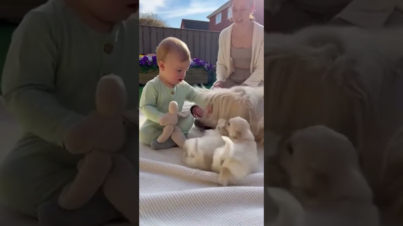 Baby Teaches Puppies The Best Trick! 🥹 