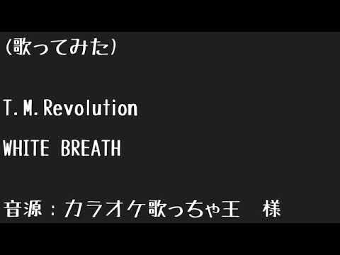 (歌ってみた)WHITE BREATH