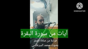 آيات من سورة#البقرة (الله ولي الذين آمنوا.. بصوت محمد السرطاسي