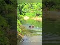 PART 2.Casting seine nets to catch fish, harvesting large carp and perch to sell – life in the high