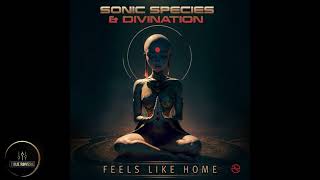 Sonic Species Vs. Divination - Feels Like Home