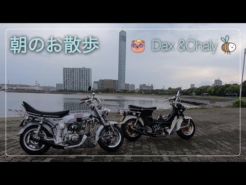 ホンダ4mini ダックス シャリー モンキーファルコンタイプ 12
