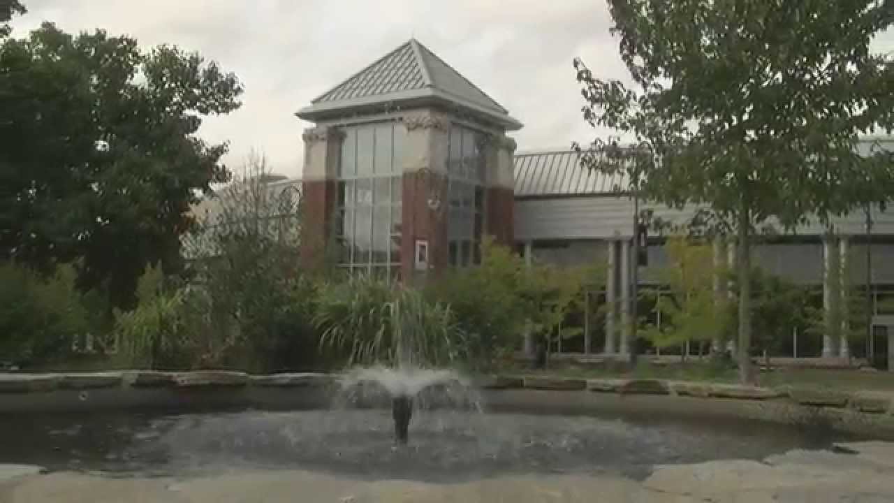 warriors cats Montage of Eastern Connecticut State University