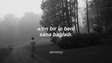 taylor swift - invisible string (türkçe çeviri)