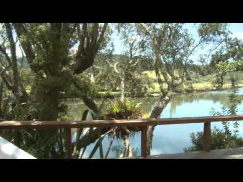 Takou River Lodge Youtube