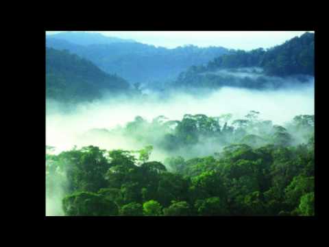 Steffen Jürgens  -  Ich schenk  dir eine Insel  HQ