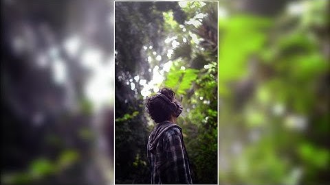 AFUSIC PAL PAL ~ EDIT ALIGHT MOTION 🥶=π XML/PRESET#viral #trending #ytshorts #xml #love