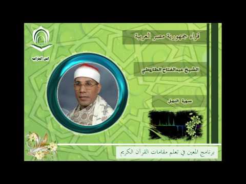 الشيخ عبدالفتاح الطاروطي سورة النمل