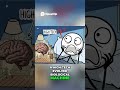 Brain Panic  Why Darkness Triggers Survival Mode