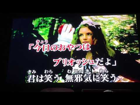 悪ノ召使 を 歌ってみた
