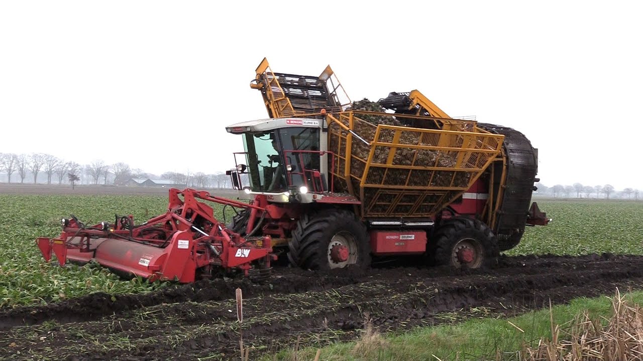 Bietenoogst 2024 | Natte omstandigheden met Agrifac ZA 215 met grote voorwielen en 12 rijer | Gilles