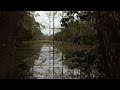 Chamar Canal and Flood Impact