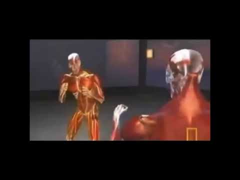 Devastation meme AAUGH