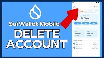 How to Delete Sui Wallet Account 2024?