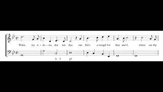CHARLES COLEMAN: Wake my Adonis do not die PDF SCORE