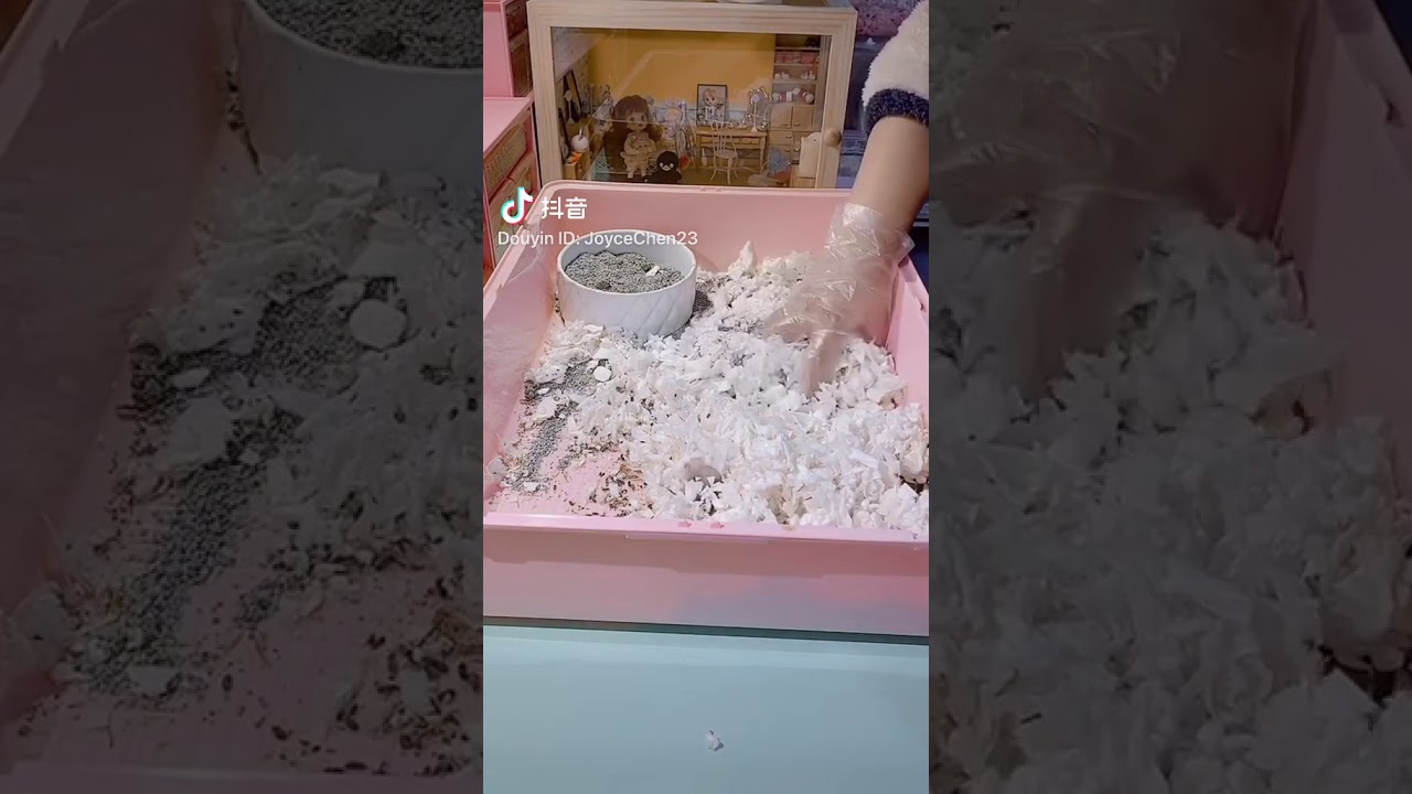 Hamster Feeding ASMR
