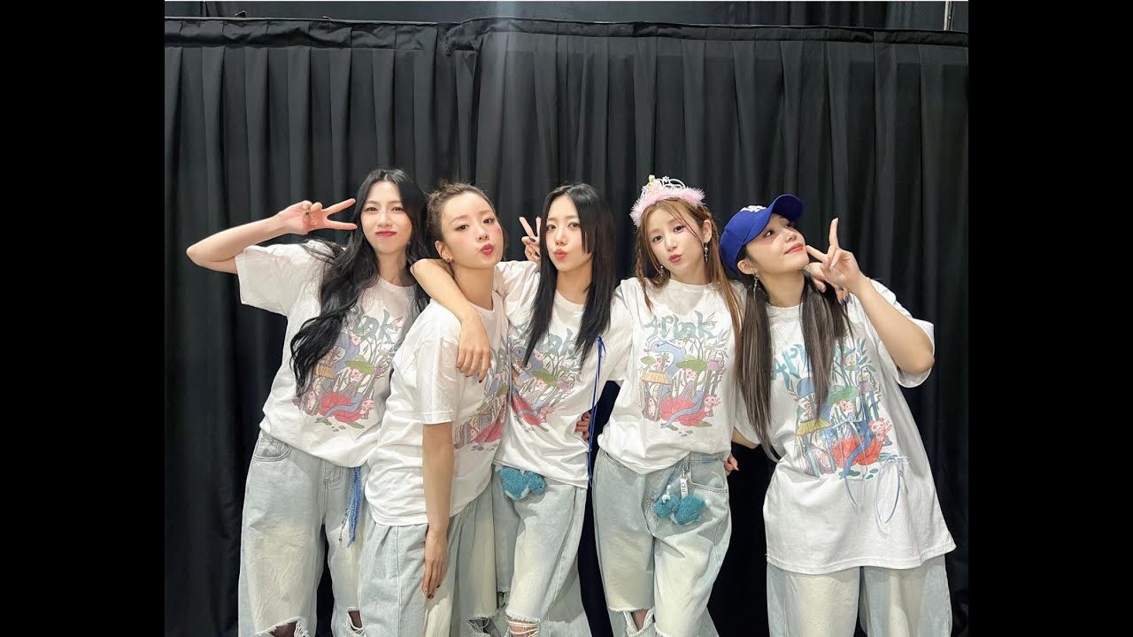 ミュージック Apink FIRST CONCERT Apink's first full-group concert in four years charms fans