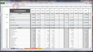 Automated Income Statement