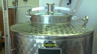 The Little Beer Corporation Introduction 140912