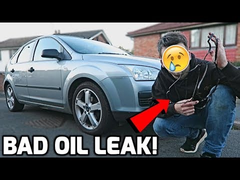 Focus Has An Oil Leak! - YouTube