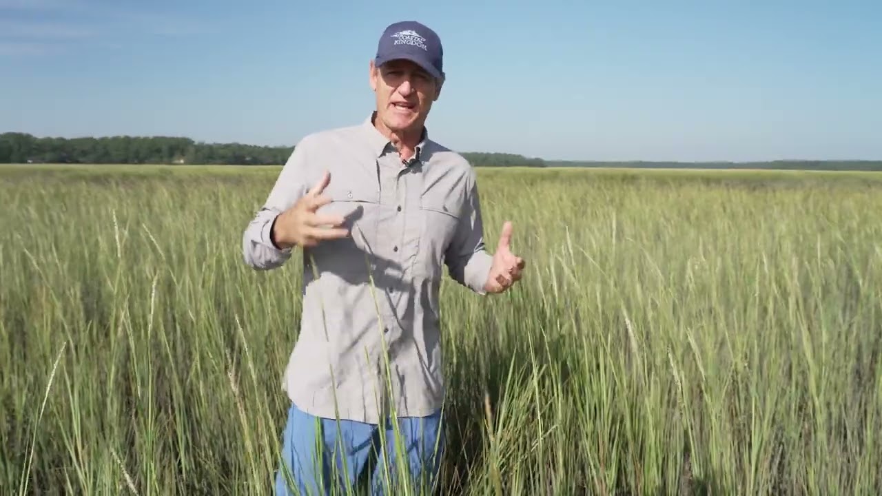 Exploring Spartina in a Lowcountry Salt Marsh