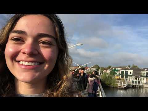 study-abroad-in-amsterdam---netherlands-excursions