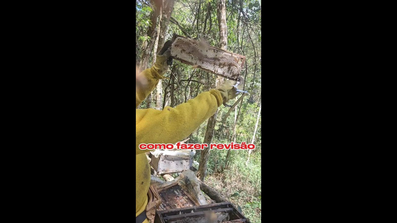 como se deve fazer uma revisão de caixa oq eu tenho q olhar