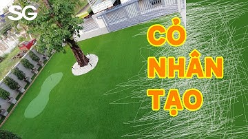 Thi công trải thảm cỏ nhân tạo tại sân trường mầm non ở Tp Hồ Chí Minh | Cỏ nhân tạo SG