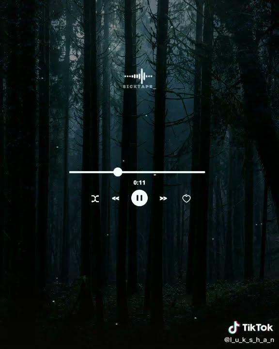 story wa  lagu alan walker