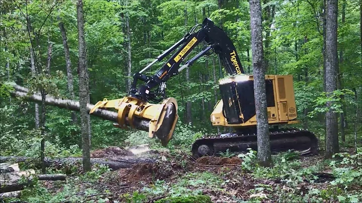 Tigercat X822D Feller Buncher - Woodland Equipment, Inc.