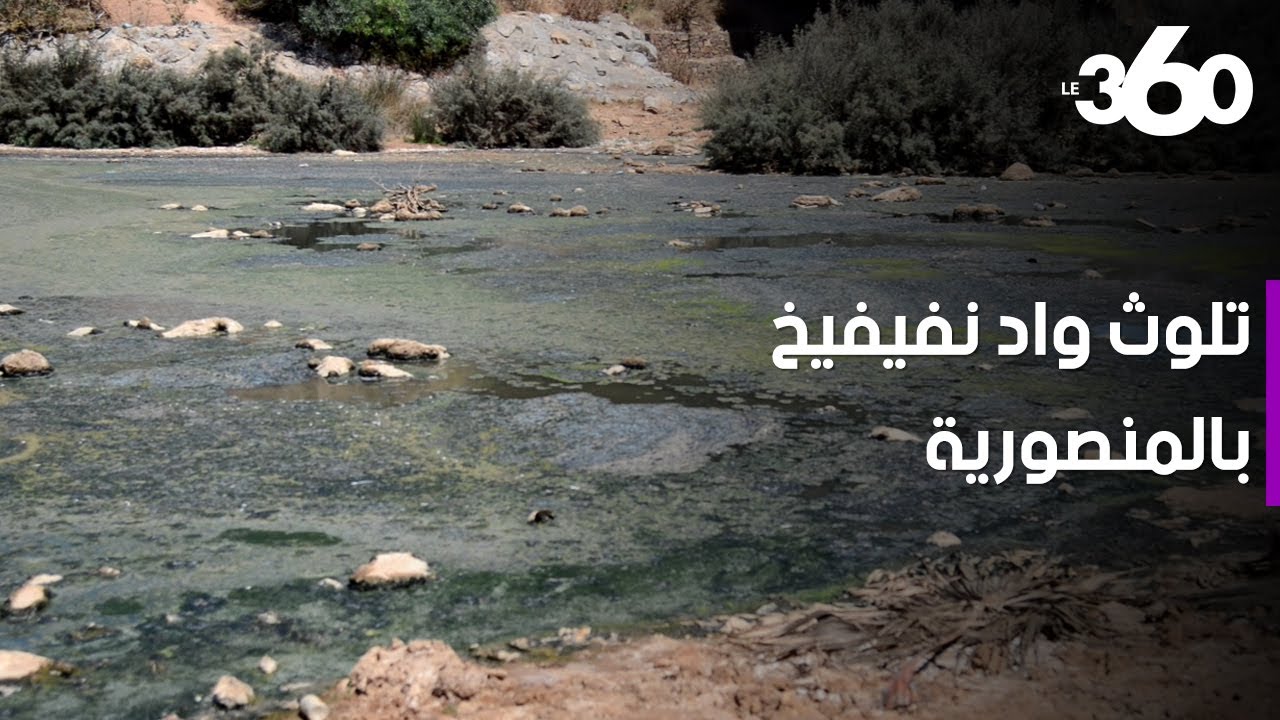 كارثة بيئية تصيب واد نفيفيخ بجماعة المنصورية