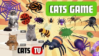 CAT Games | Ultimate Cat TV Compilation Vol 42 | 3 HOURS 🐝🐞🦋🦎🦜🐜🐭🧵