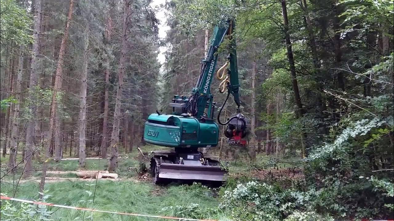 Holzernte auf Kampfmittelverdachtsflächen mit spezial Kern Königstiger