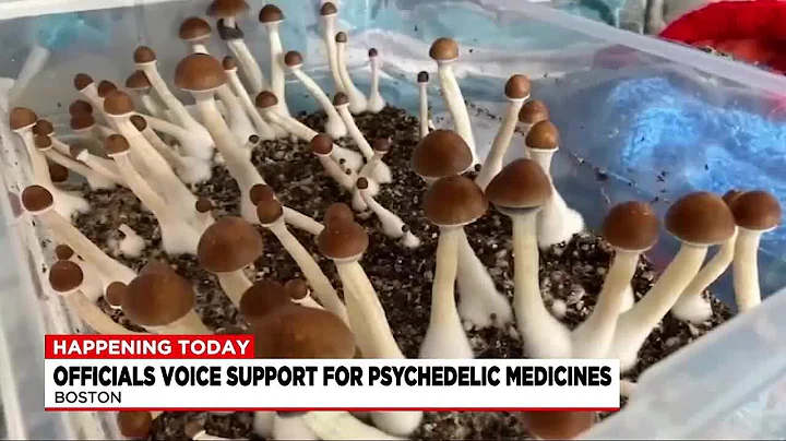 Officials voice support for Question 4 on November ballot