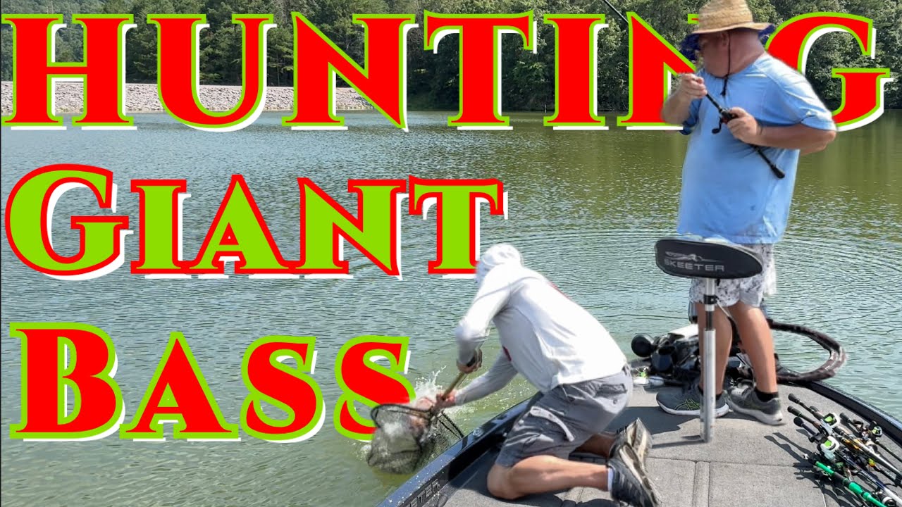 Epic Bass Hunt: Rocky Mountain PFA’s Hidden Giants