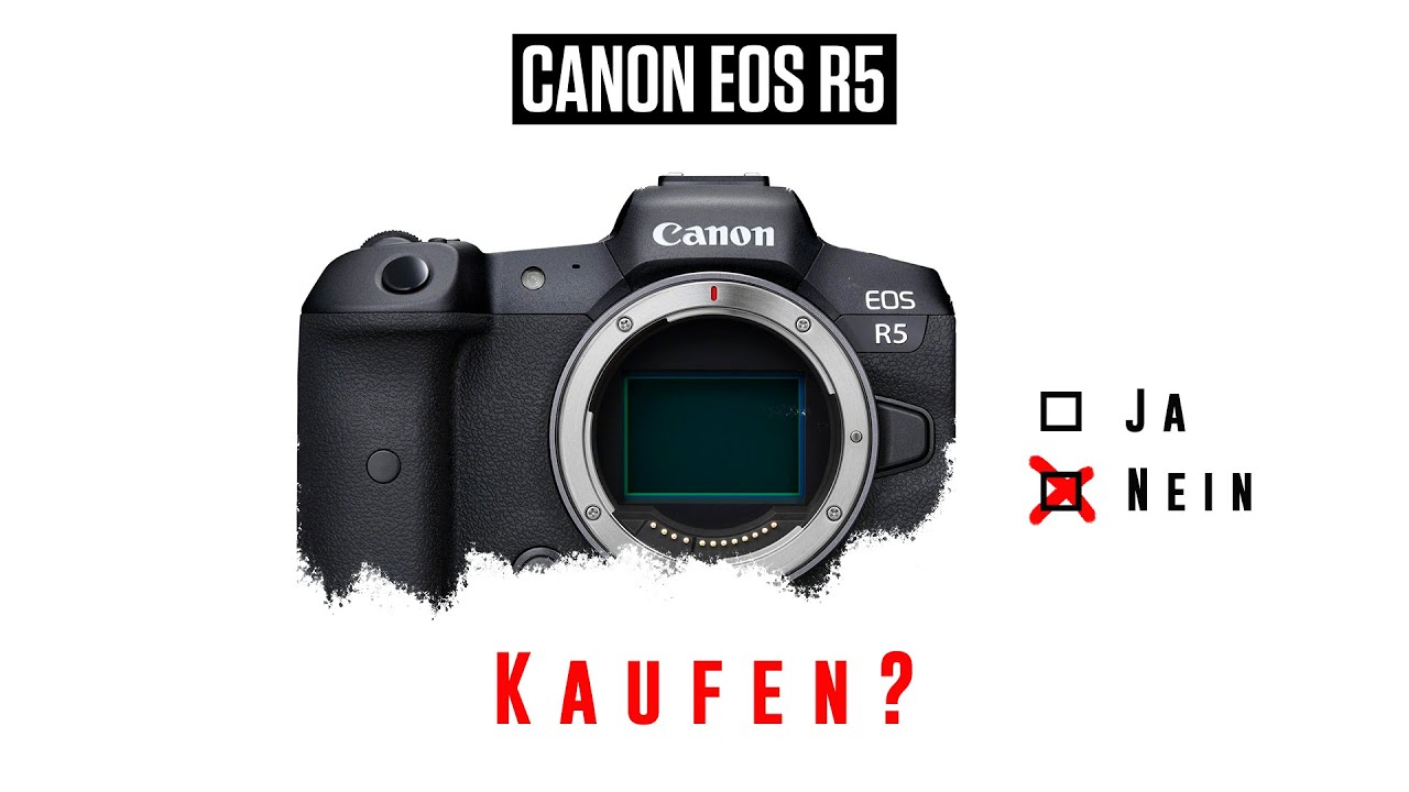 Canon R6 Vs Sony A7 Iii Comparison Review Apotelyt Canon R6 Vs Sony A7 Iii Comparison Review Apotelyt