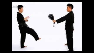 How to do a 360' Tornado Kick (Dolgae Chagi)