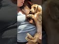 Sweetest thing ever😍 #minidachshund #puppylife #minidachshundpuppy