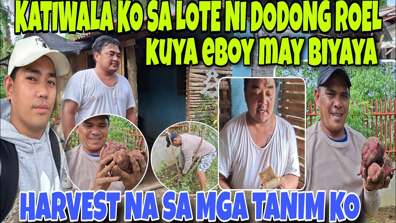 🇵🇭KATIWALA KO SA LOTE NI DODONG ROEL‼️KUYA EBOY MAY  BIYAYA
