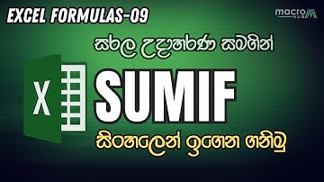 SUMIF function sinhala | Excel Formulas Sinhala -09