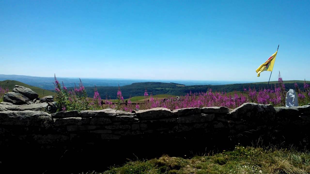 Buron De La Combe De La Saure