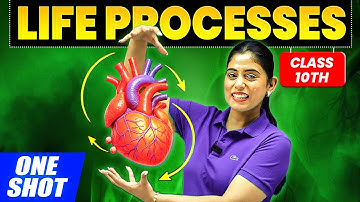 Life Processes in ONE SHOT ✅ | Class 10 Science Chapter 5 | NCERT + PYQs | By Samridhi Sharma
