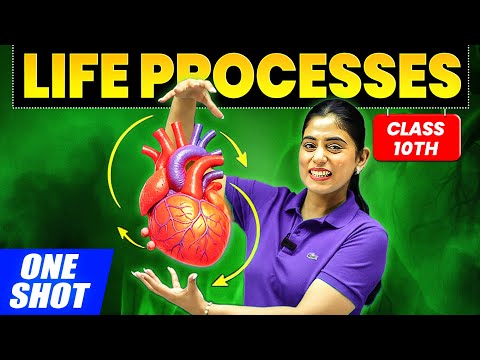 Life Processes in ONE SHOT Class 10 Science Chapter 5 NCERT PYQs By Samridhi Sharma