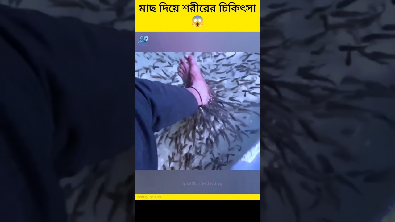 Never Do Fish Spa😱 