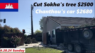 Cutting down Sokha’s tree 🌲